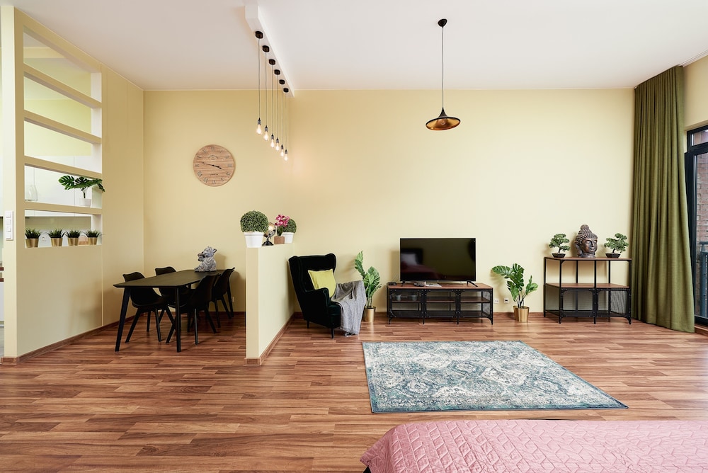 stylish and spacious studio