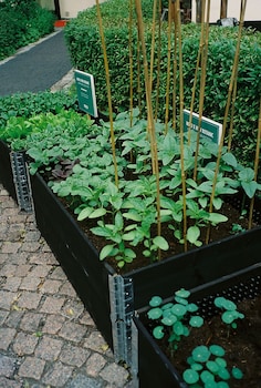 Nofo Hotel, Worldhotels Crafted,,4 star