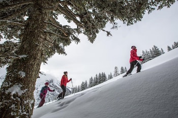 victoria hotel and residence