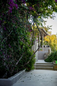 casa daracia adults only