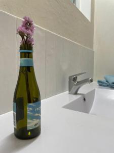 cairns waterfront haven