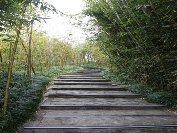 greentree inn chongming nanmen express hotel