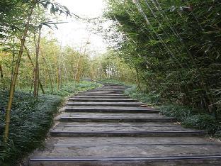 greentree inn chongming nanmen express hotel