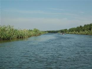 greentree inn chongming nanmen express hotel
