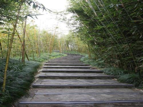 Greentree Inn Chongming Nanmen Express Hotel,In Shanghai (Chongming),2 star