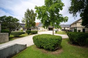 domaine malar