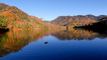 kamenoi hotel okunikko