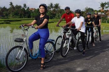 gdas bali health and wellness resort