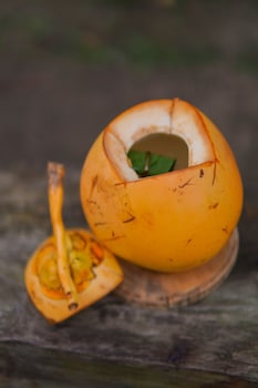 gdas bali health and wellness resort