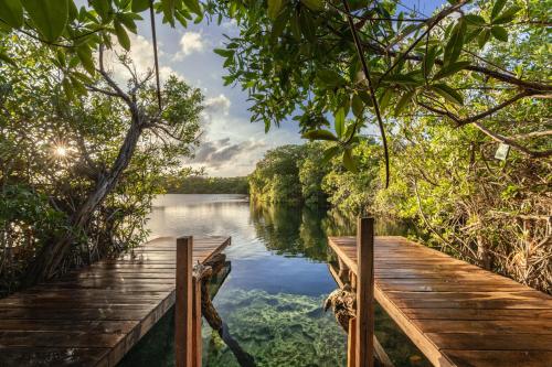 yaxchen tulum cabanas and cenote