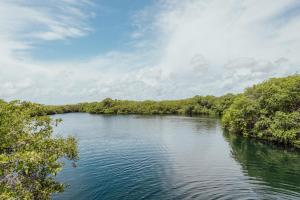 yaxchen tulum cabanas and cenote