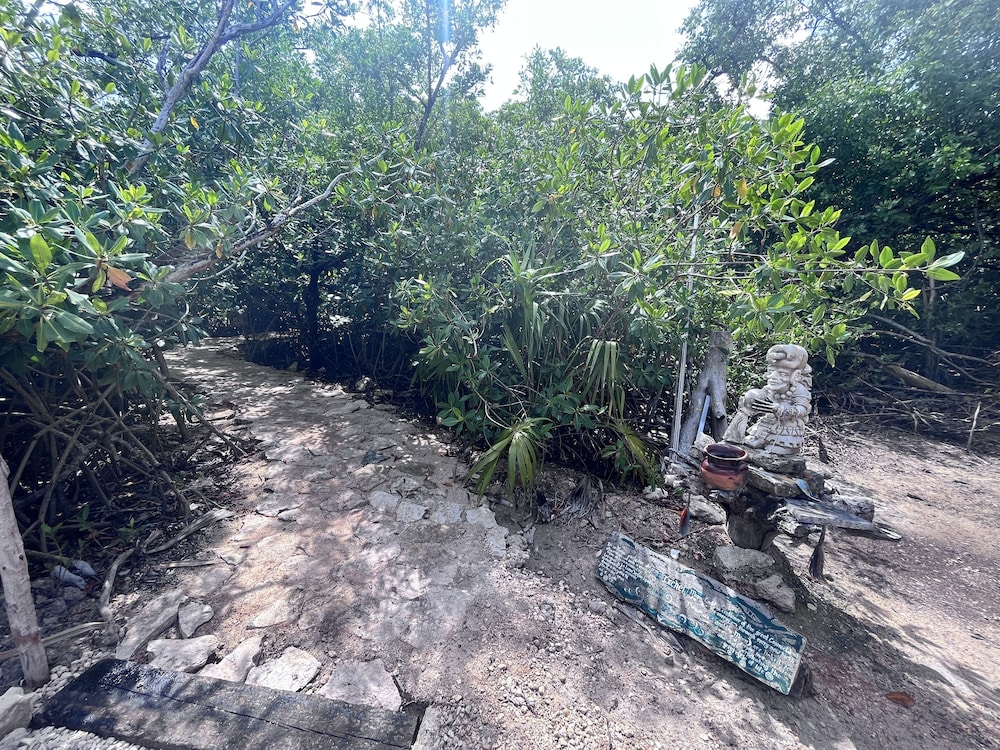 yaxchen tulum cabanas and cenote