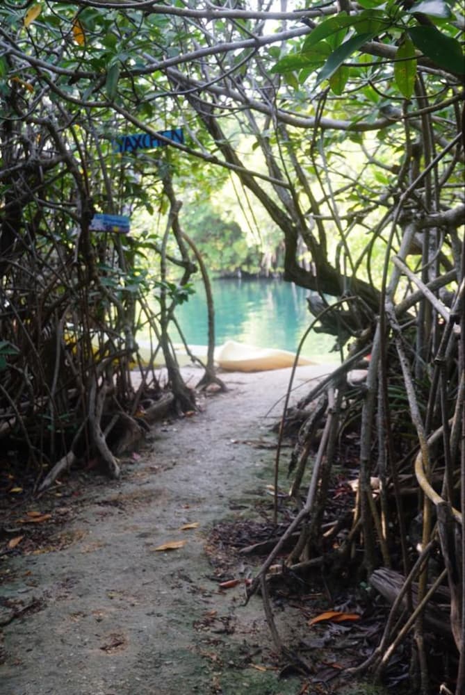 yaxchen tulum cabanas and cenote