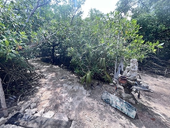 yaxchen tulum cabanas and cenote