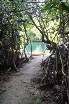 yaxchen tulum cabanas and cenote