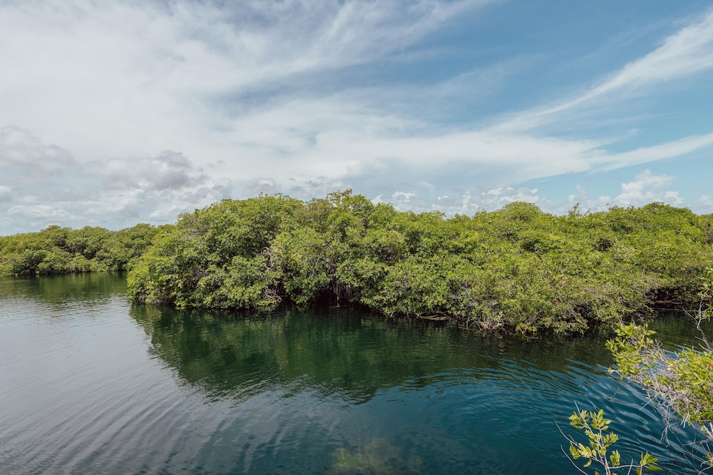 yaxchen tulum cabanas and cenote
