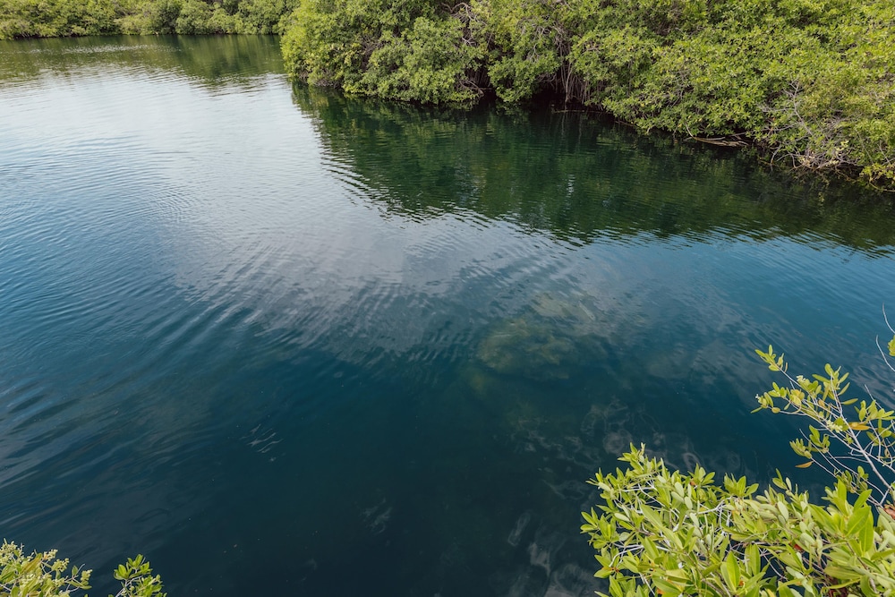 yaxchen tulum cabanas and cenote
