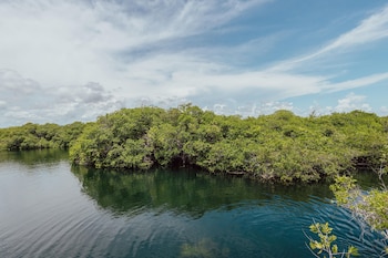 yaxchen tulum cabanas and cenote