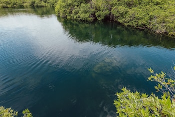 yaxchen tulum cabanas and cenote