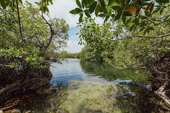 yaxchen tulum cabanas and cenote