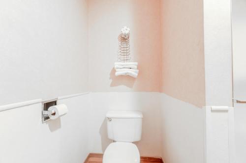 hotel o eureka springs christ of ozark area