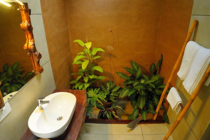 ananterra resort wayanad