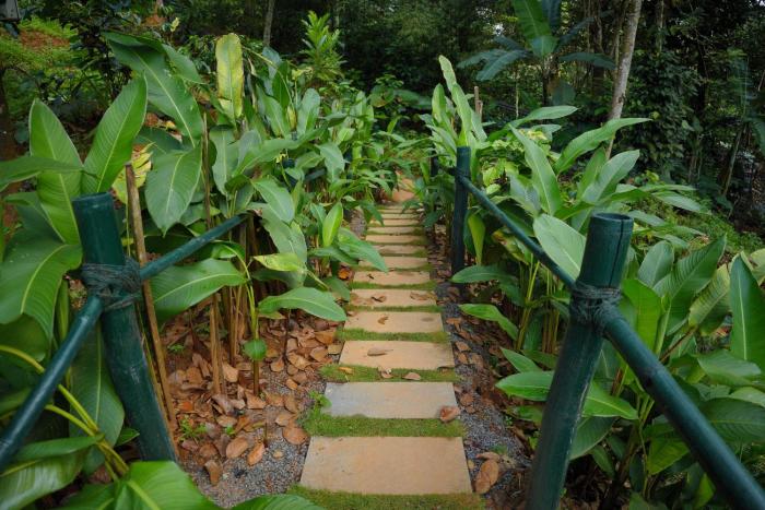 ananterra resort wayanad