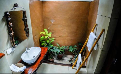 ananterra resort wayanad