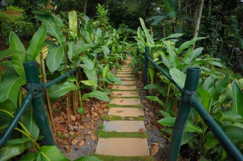 ananterra resort wayanad