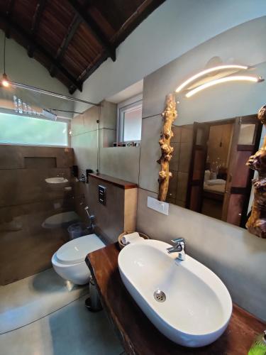 ananterra resort wayanad