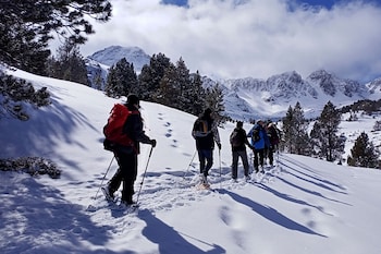 hotel comtes durgell