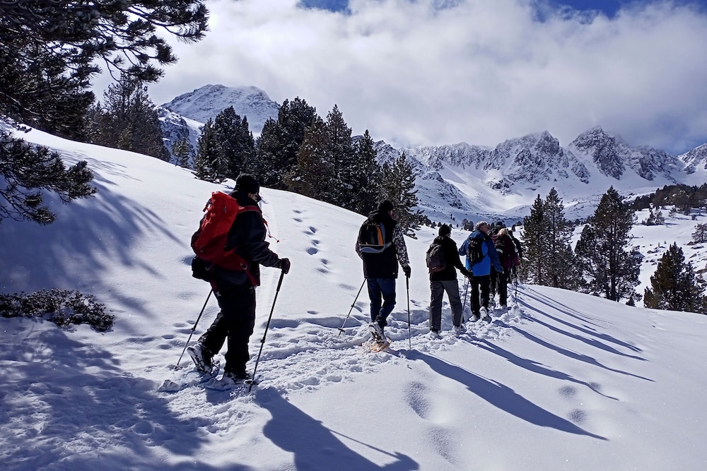 hotel comtes durgell