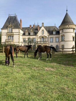 chateau tout y fault