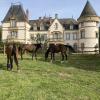 chateau tout y fault