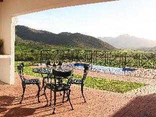 orange grove