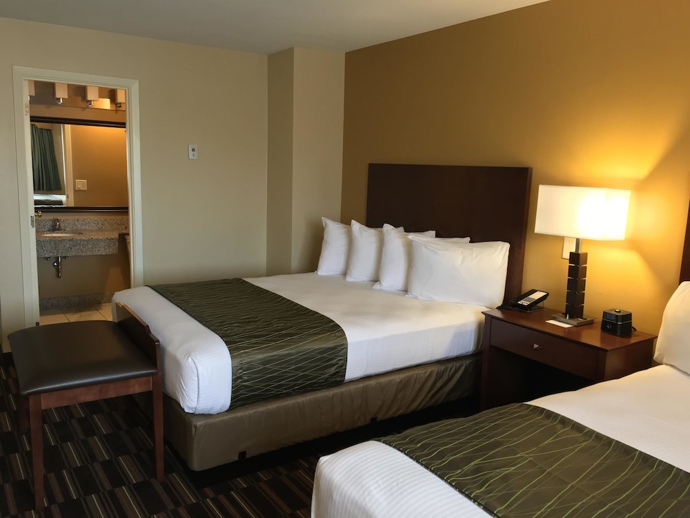 best western falcon plaza bowling green