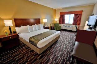 best western falcon plaza bowling green