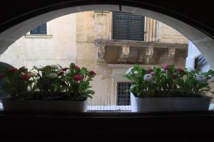 cadelli luxury suite