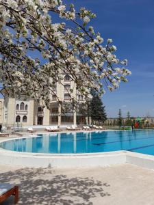 Connect Thermal Hotel,,5 star