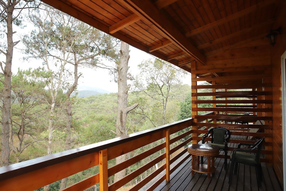 ri shat sngi orchid resort by world choice