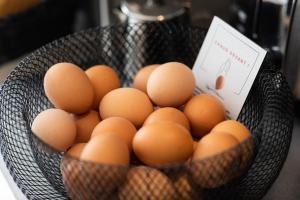 ibis styles paris porte dorleans