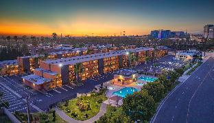 best western plus stovalls inn