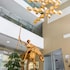 hotel veracruz plaza and spa