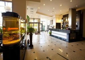 Hotel Tecadra,Ilfov>>Bucharest,4 star