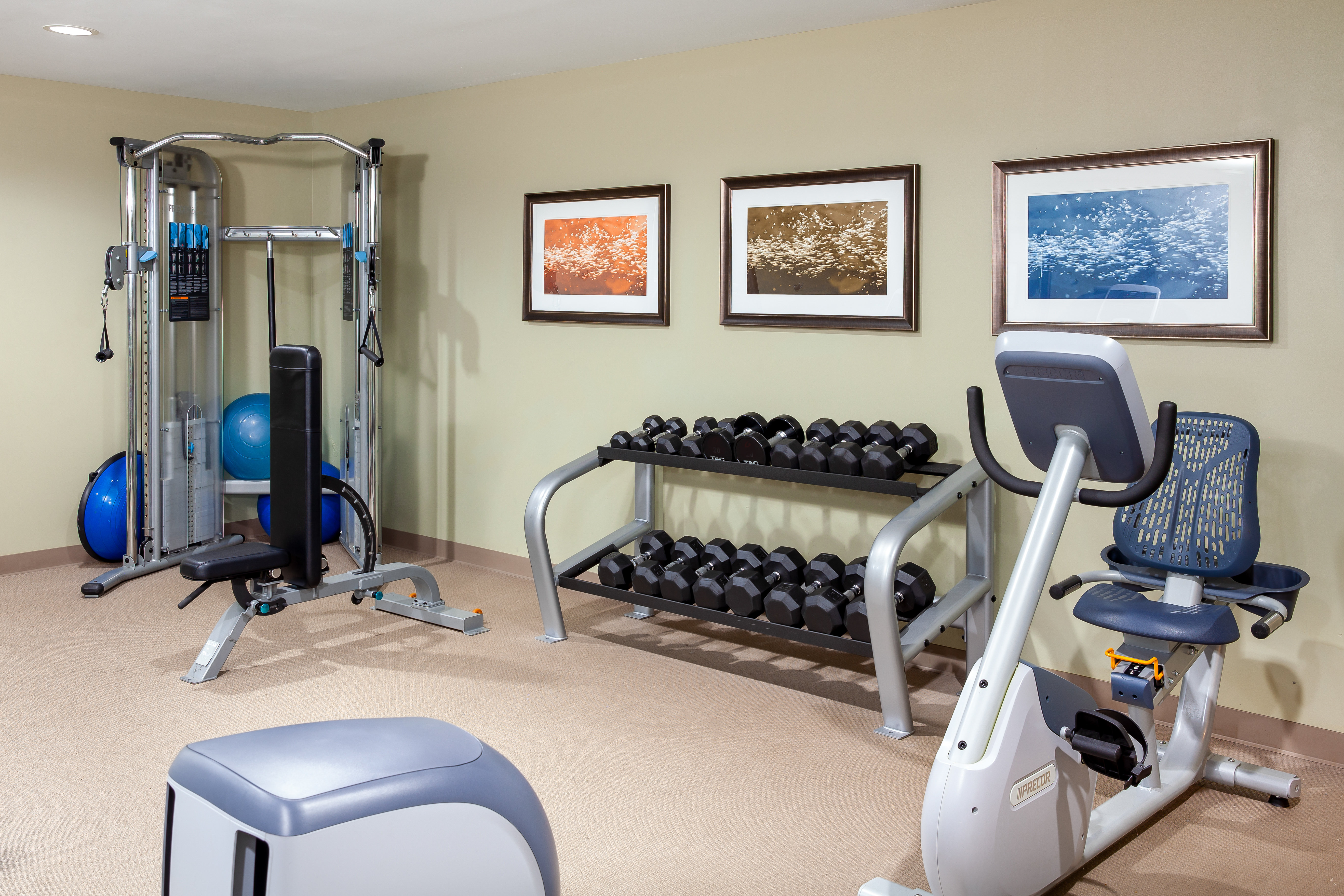 staybridge suites denver central park by ihg