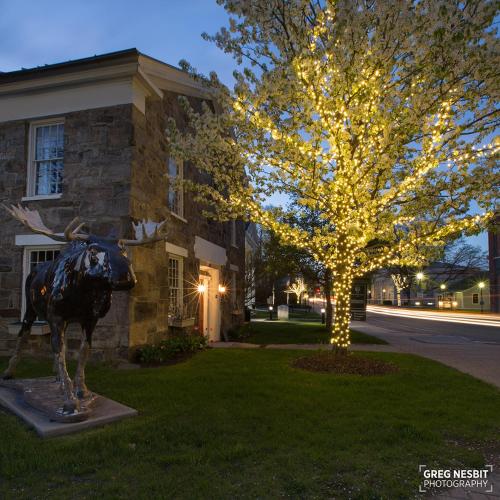 governors rock motel