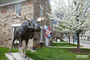 Governor's Rock Motel,Bennington>>Arlington,2 star
