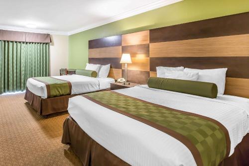 rodeway inn and suites canyon lake menifee west