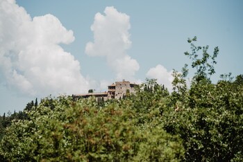 radicondoli