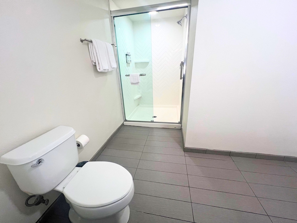 holiday inn hotel and suites orange park by ihg
